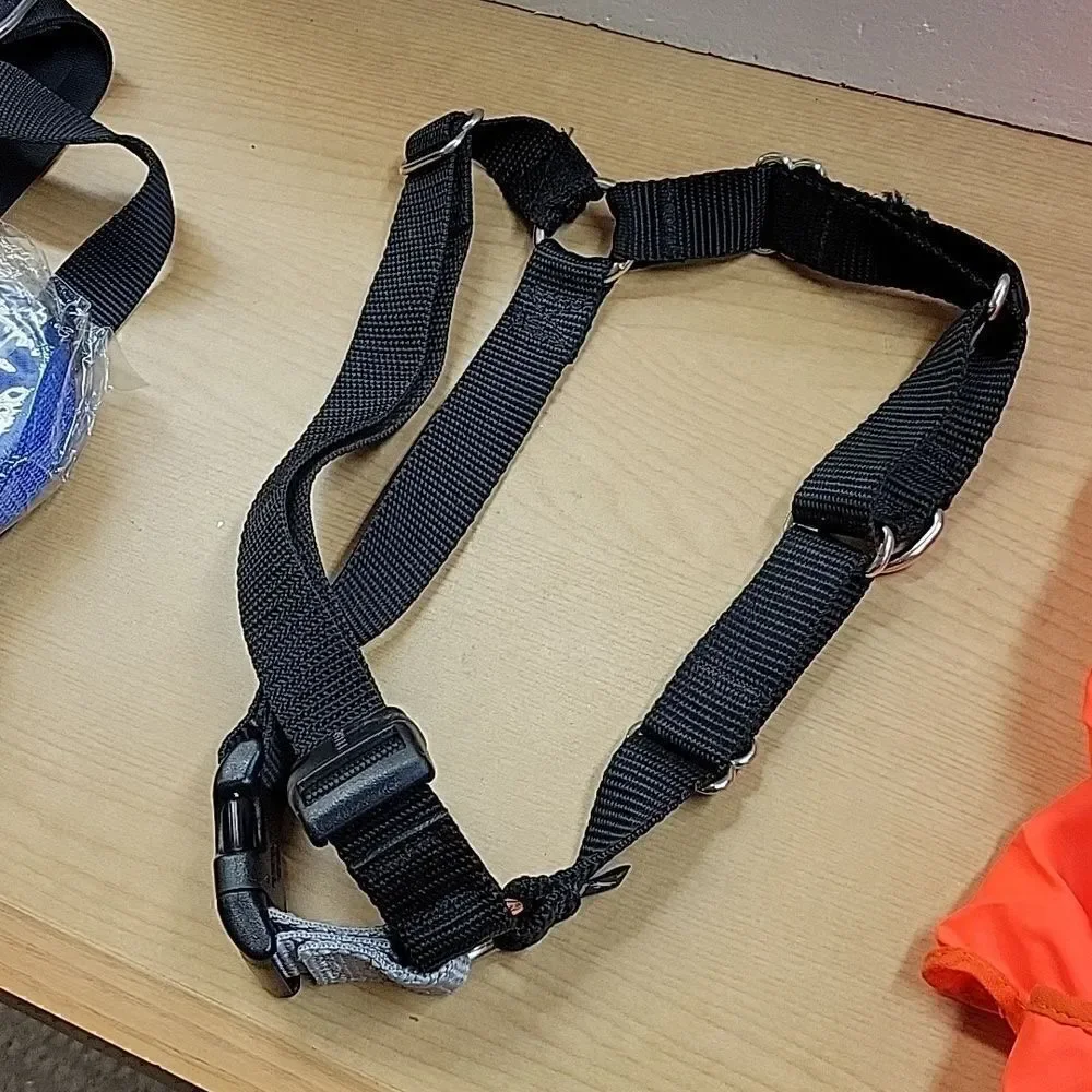 Large dog seat belt, harness, lead and night vest for the walker‎